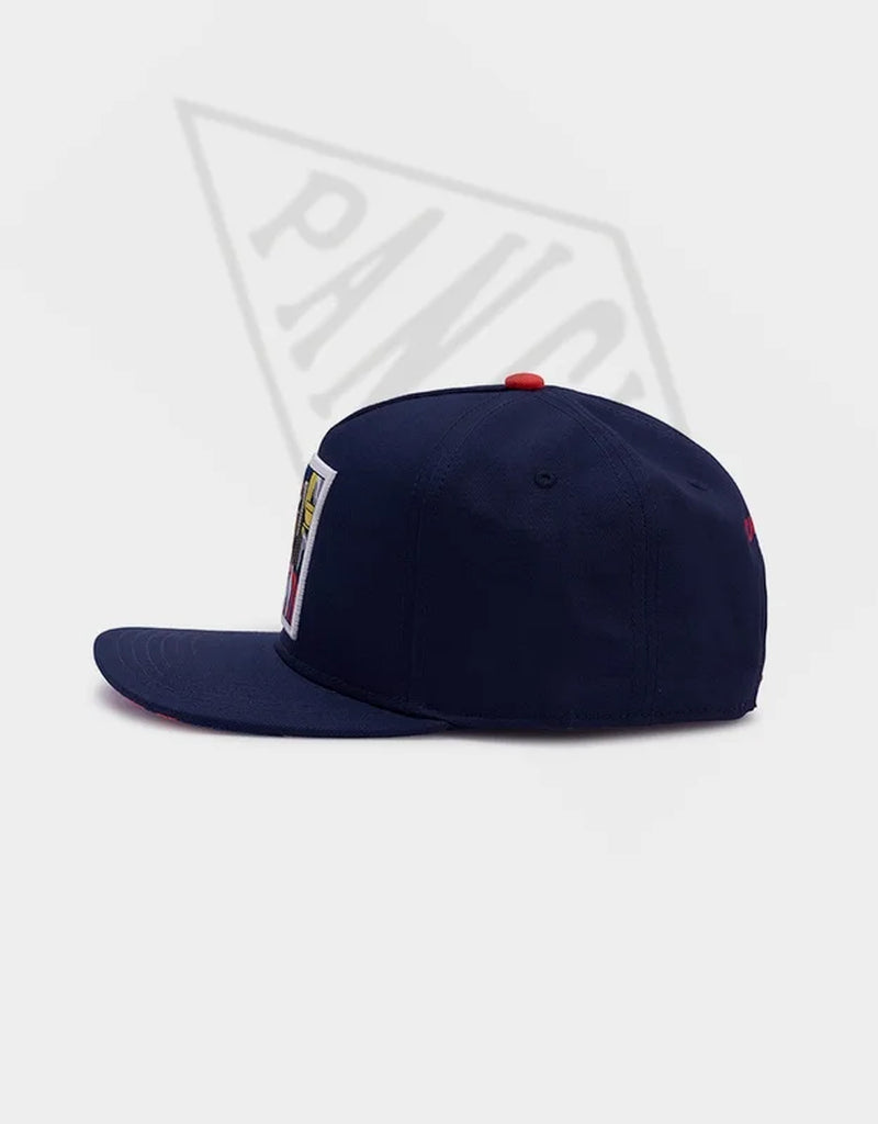 BIGGENSTEIN Snapback Hat