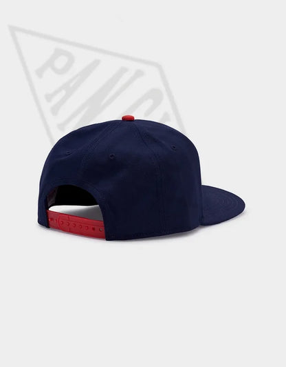 BIGGENSTEIN Snapback Hat